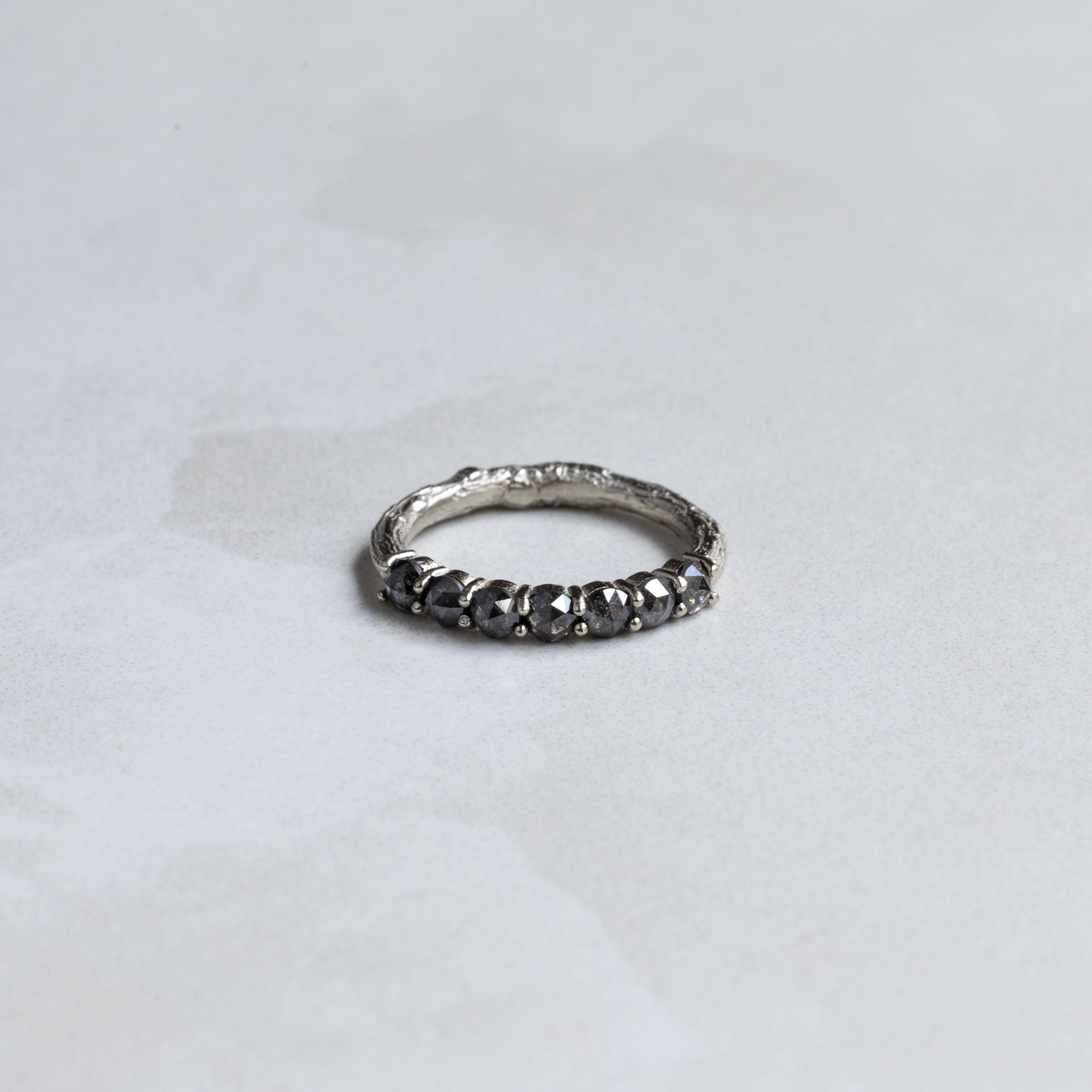 Deep Roots Anniversary Band