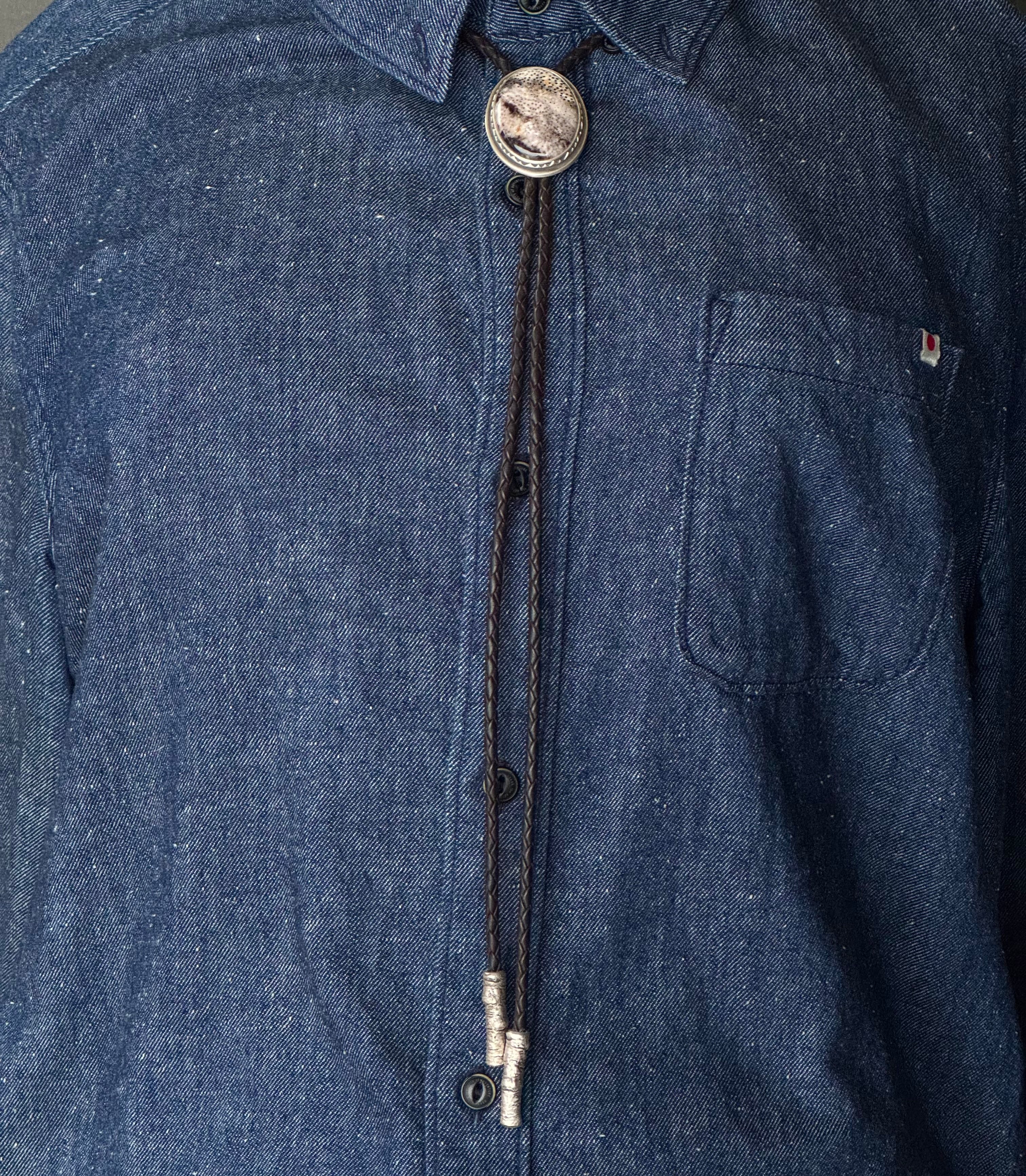 Utah Petrified Palm Wood Bolo