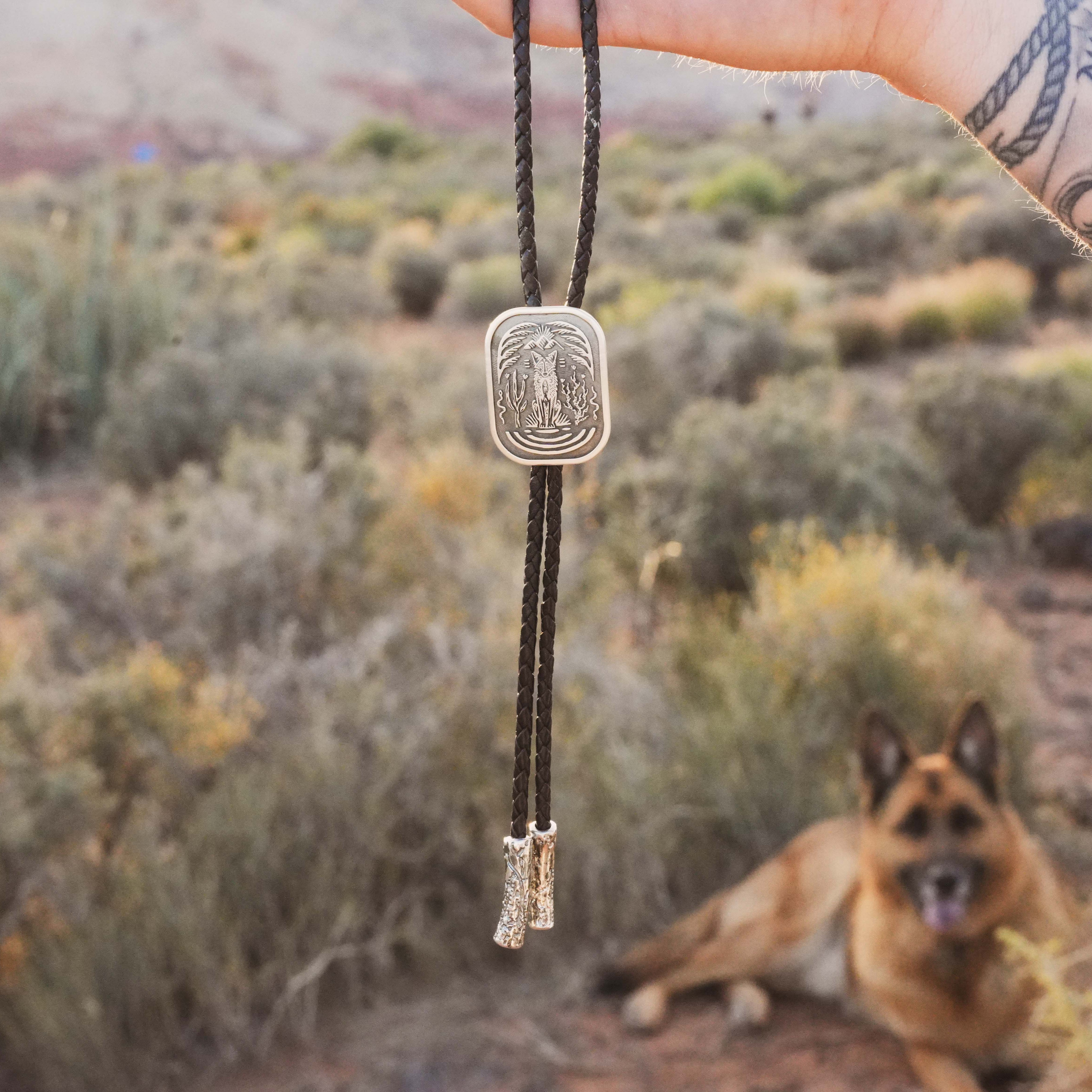 El Coyote Bolo